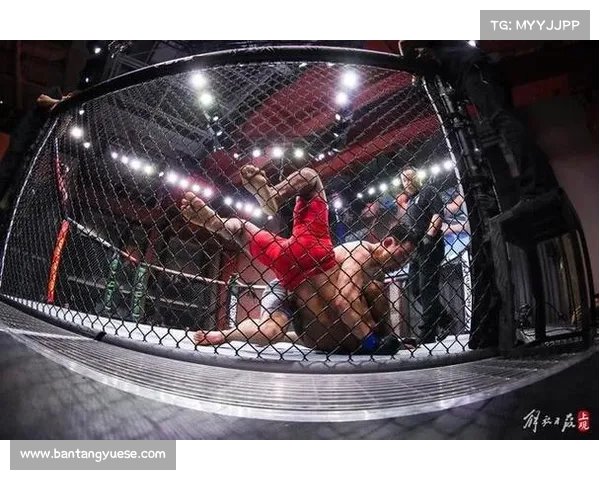 UFC精英之路中国军团四胜一负 任亚伟断头台锁定晋级席位 UFC精英之路中国军团四胜一负 任亚伟断头台锁定晋级席位